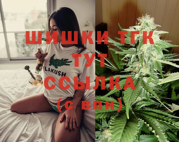 спайс Бородино