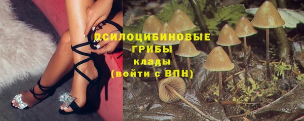 молекула духа Армянск